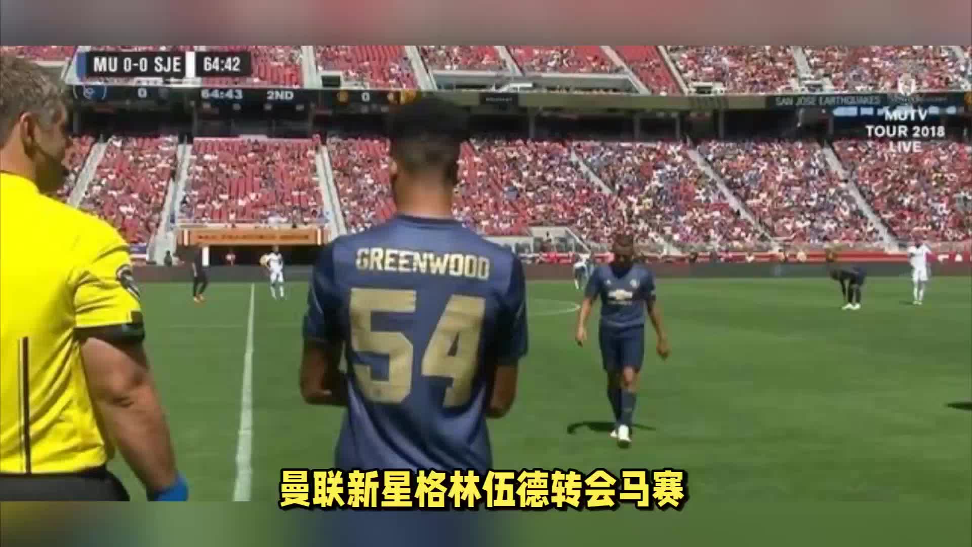 不移的意志