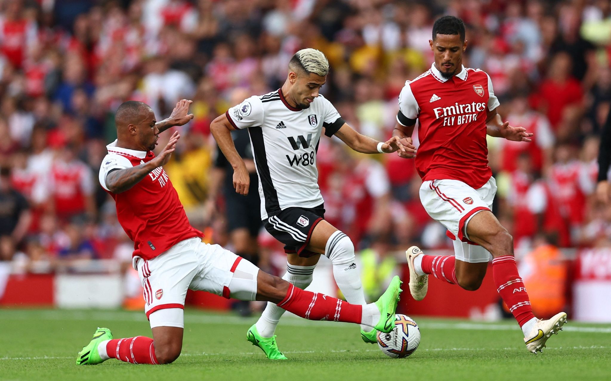 南安普顿的 南安普顿的